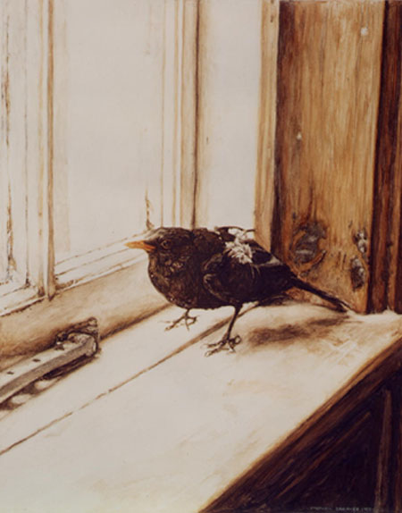 Back to: Blackbird - photorealism bird painting