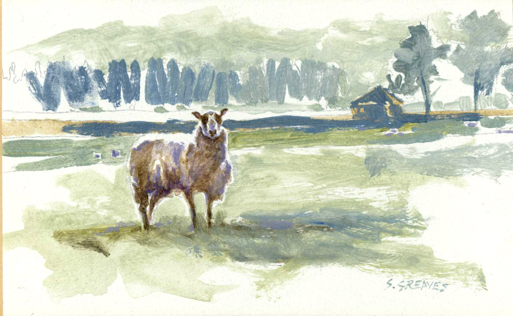 Steve Greaves - The Sentinel Sheep - animal painting in acrylic