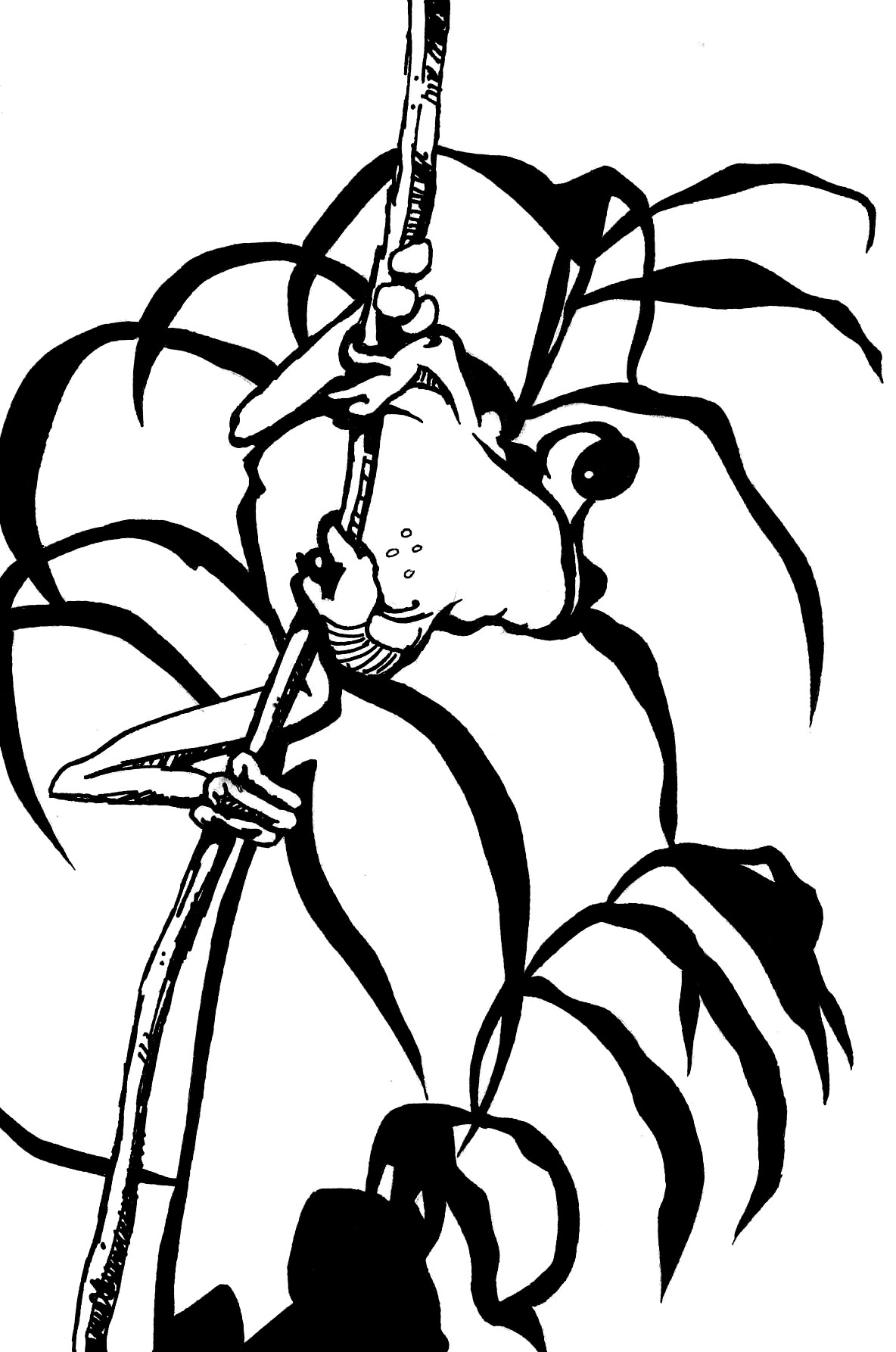 Back to: Tree Frog- ink animal drawing/artwork