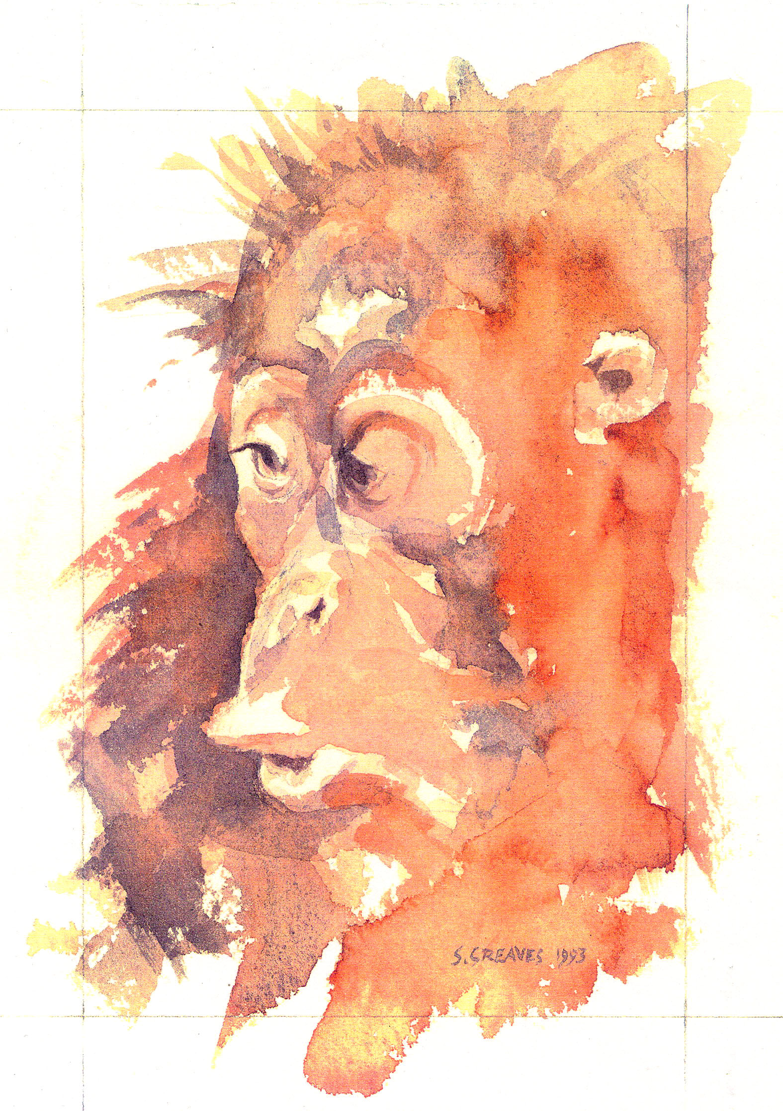 Back to: Orangutan - watercolour animal painting